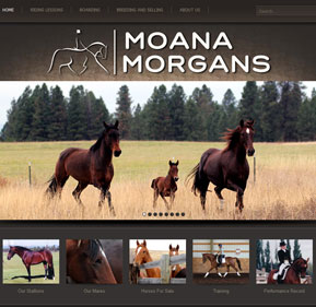 Moana Morgans website